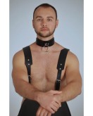 Erkek Harness