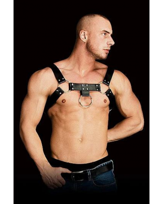 Erkek Harness