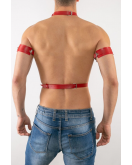 Erkek Harness