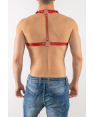 Erkek Harness