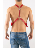 Erkek Harness