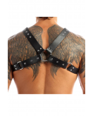 Erkek Harness