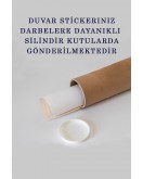 Eğitici Dünya Haritası Dünya Atlası Çocuk ve Bebek Odası Duvar Sticker-60x105-3780